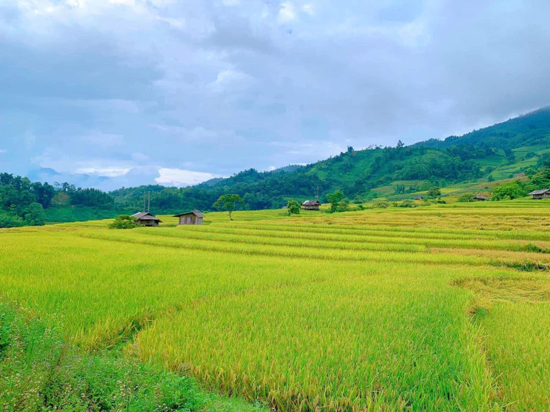Thung lũng Nậm Cang - ảnh 6