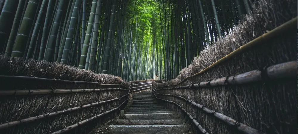 Kyoto