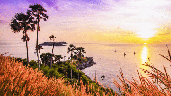 Tour Phuket 4N3Đ: Phố Cổ Phuket - Đảo Phi Phi - Vịnh Maya - Hình ảnh 6